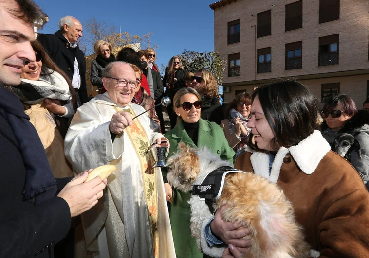 Numerosas personas con sus mascotas celebran San Antón