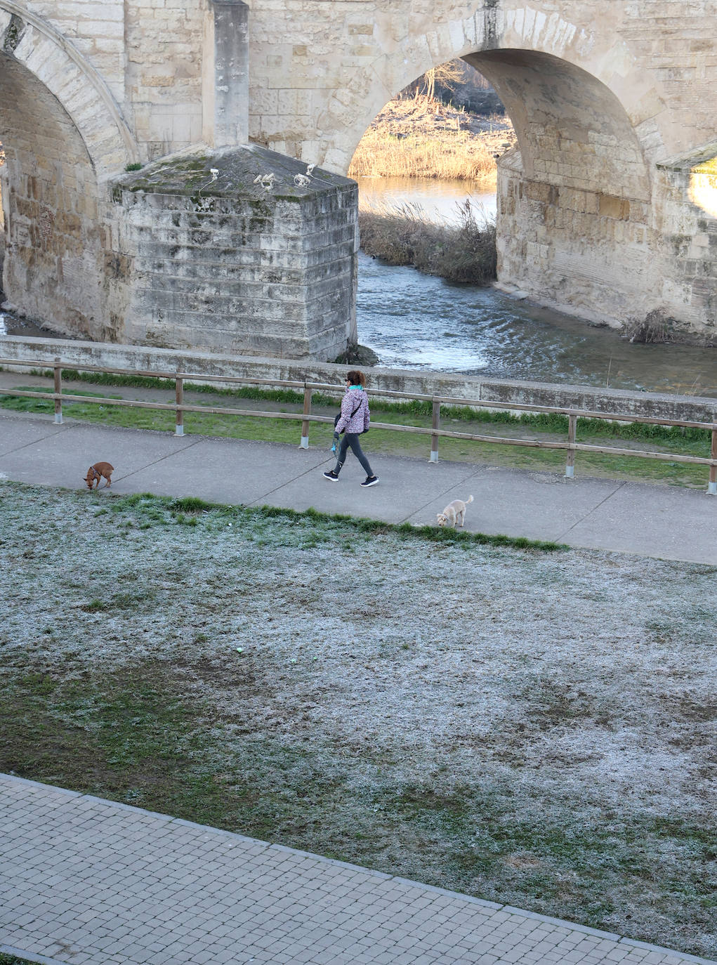 Un día de intenso frío en Córdoba, en imágenes