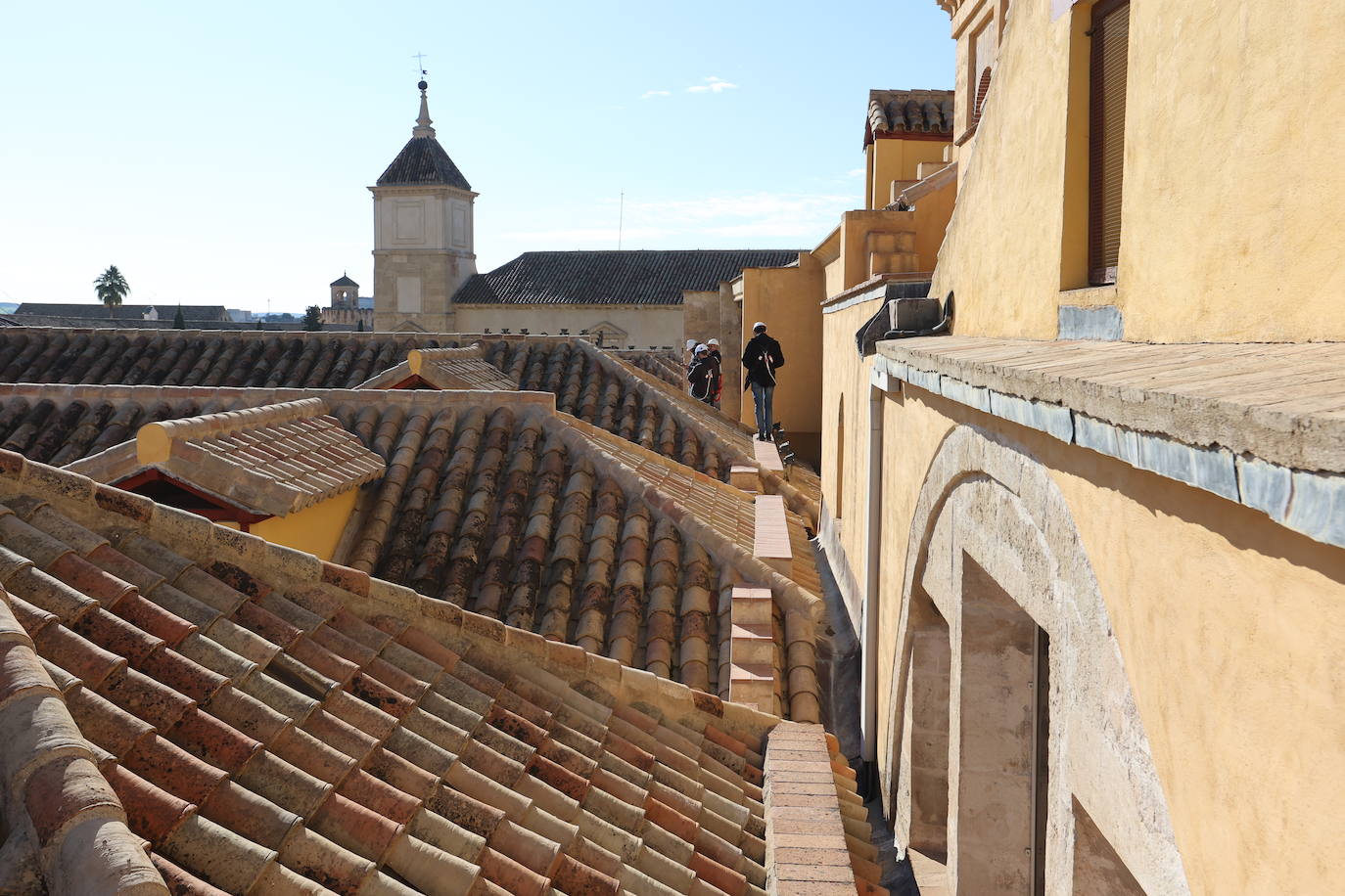 Las cubiertas de la Mezquita-Catedral de Córdoba, el otro &#039;tesoro&#039; de un bien Patrimonio de la Humanidad, en imágenes