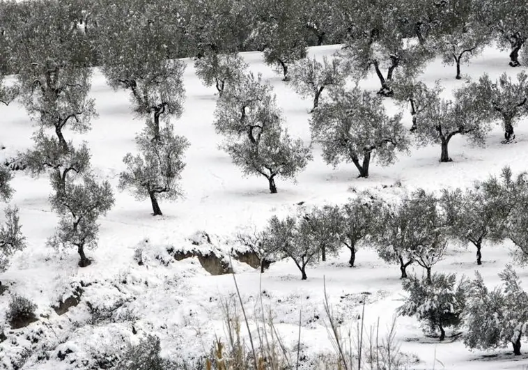 El tiempo en Valencia: dónde está nevando y temperaturas mínimas