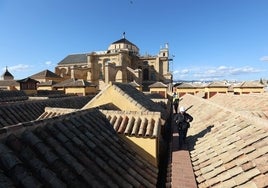 Las cubiertas de la Mezquita-Catedral de Córdoba, el otro 'tesoro' de un bien Patrimonio de la Humanidad, en imágenes