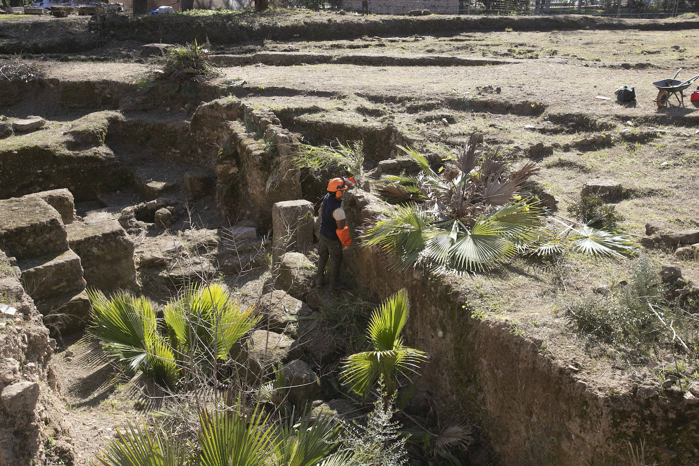 La limpieza del anfiteatro romano de Córdoba, en imágenes