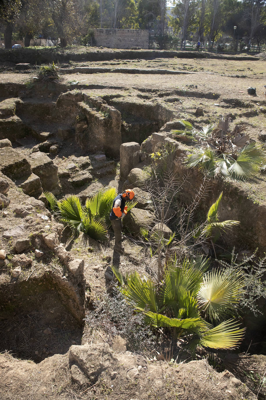 La limpieza del anfiteatro romano de Córdoba, en imágenes
