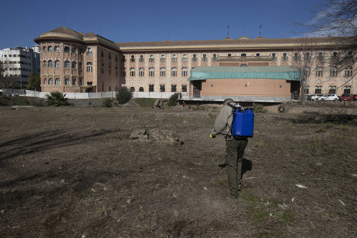 La limpieza del anfiteatro romano de Córdoba, en imágenes