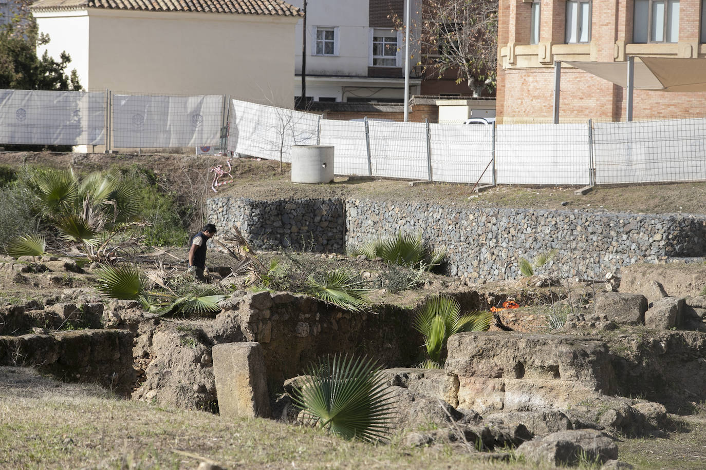 La limpieza del anfiteatro romano de Córdoba, en imágenes