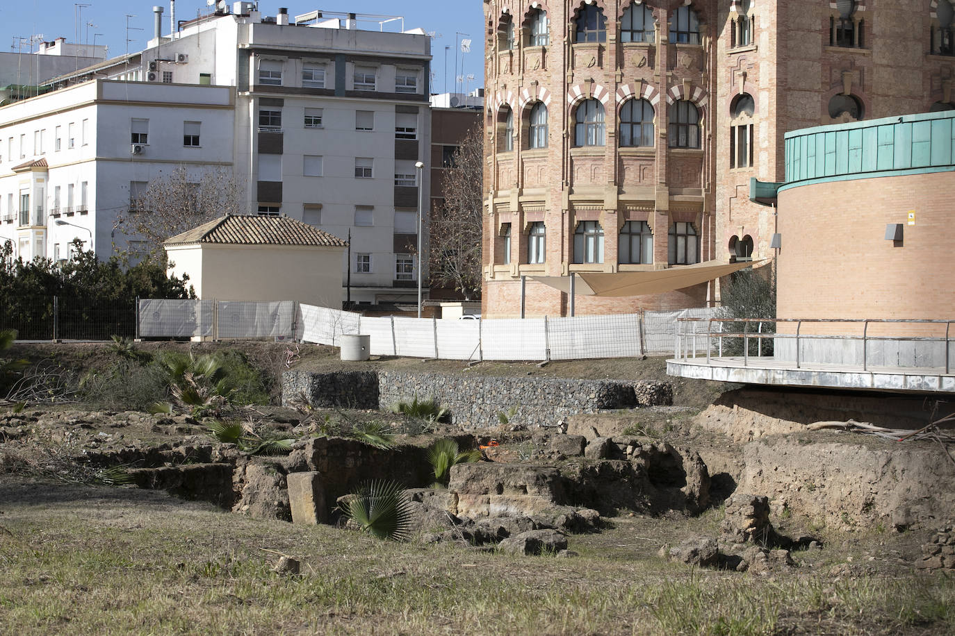 La limpieza del anfiteatro romano de Córdoba, en imágenes