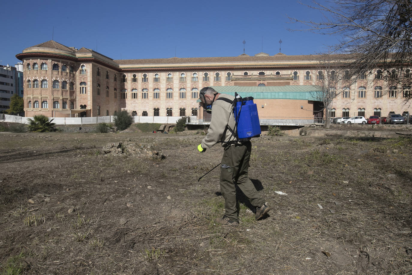 La limpieza del anfiteatro romano de Córdoba, en imágenes