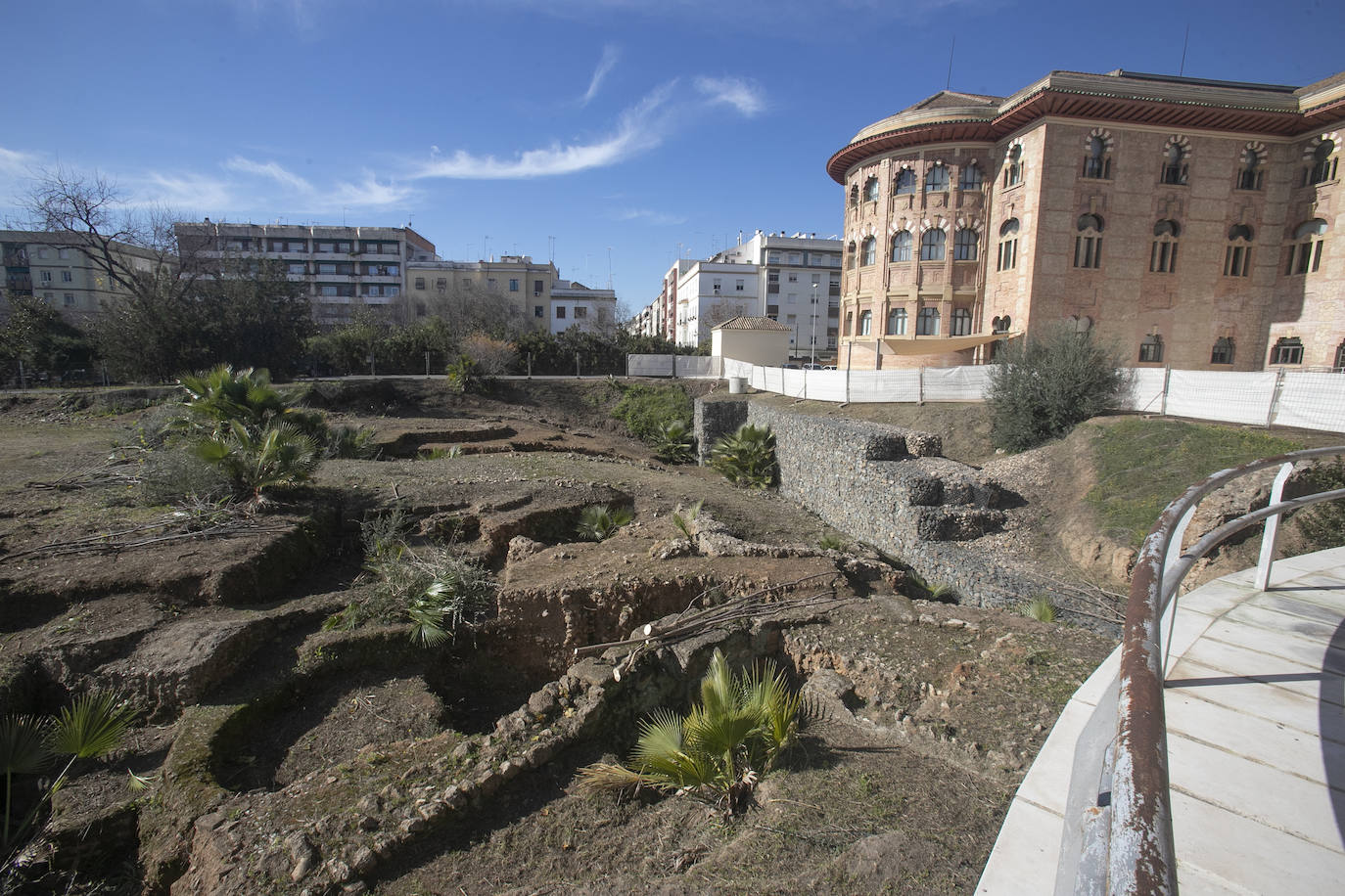 La limpieza del anfiteatro romano de Córdoba, en imágenes