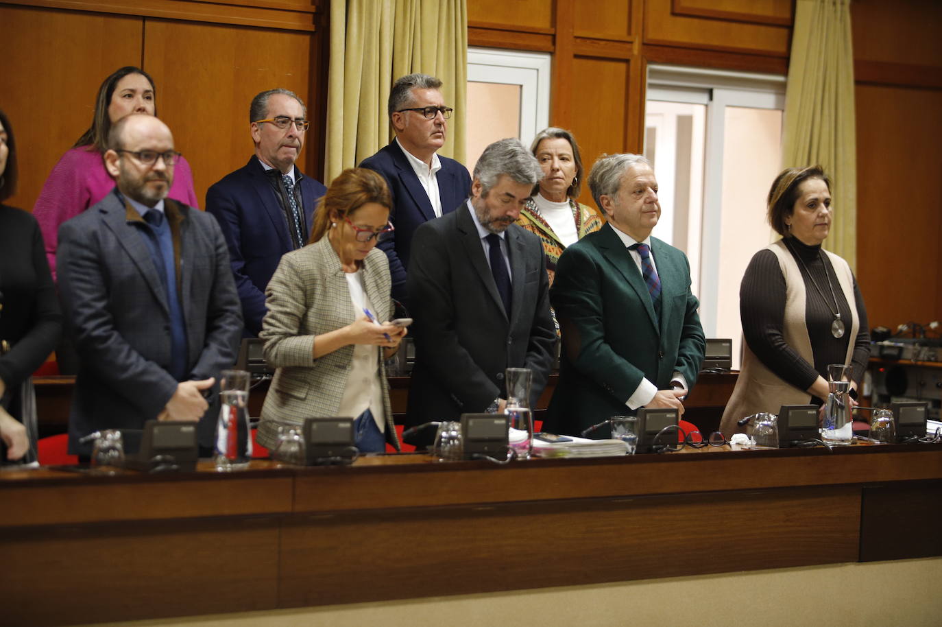 El pleno del Ayuntamiento de Córdoba, en imágenes