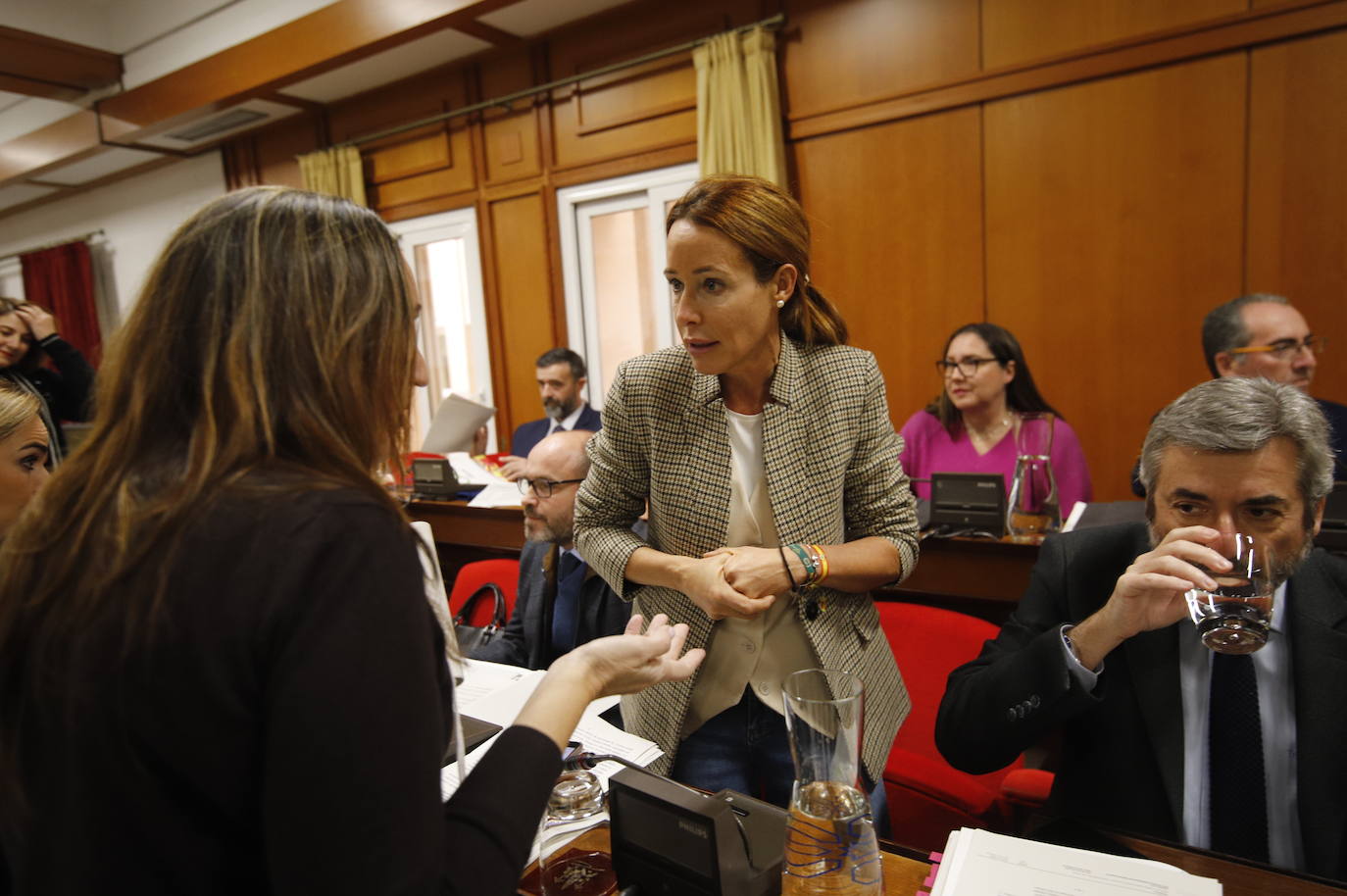 El pleno del Ayuntamiento de Córdoba, en imágenes