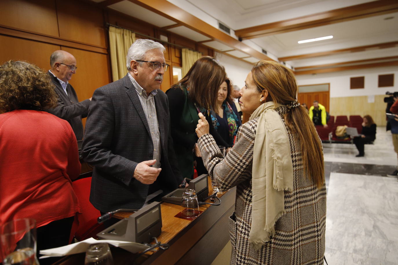 El pleno del Ayuntamiento de Córdoba, en imágenes