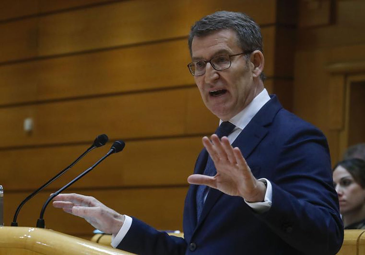 Núñez Feijóo, presidente del Partido Popular, esta tarde en el Senado