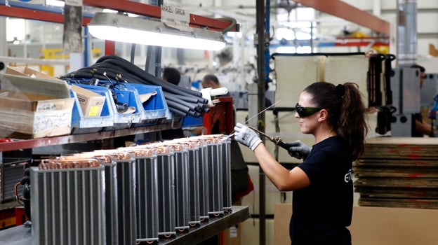 Una mujer trabaja en una empresa lucentina dedicada al frío