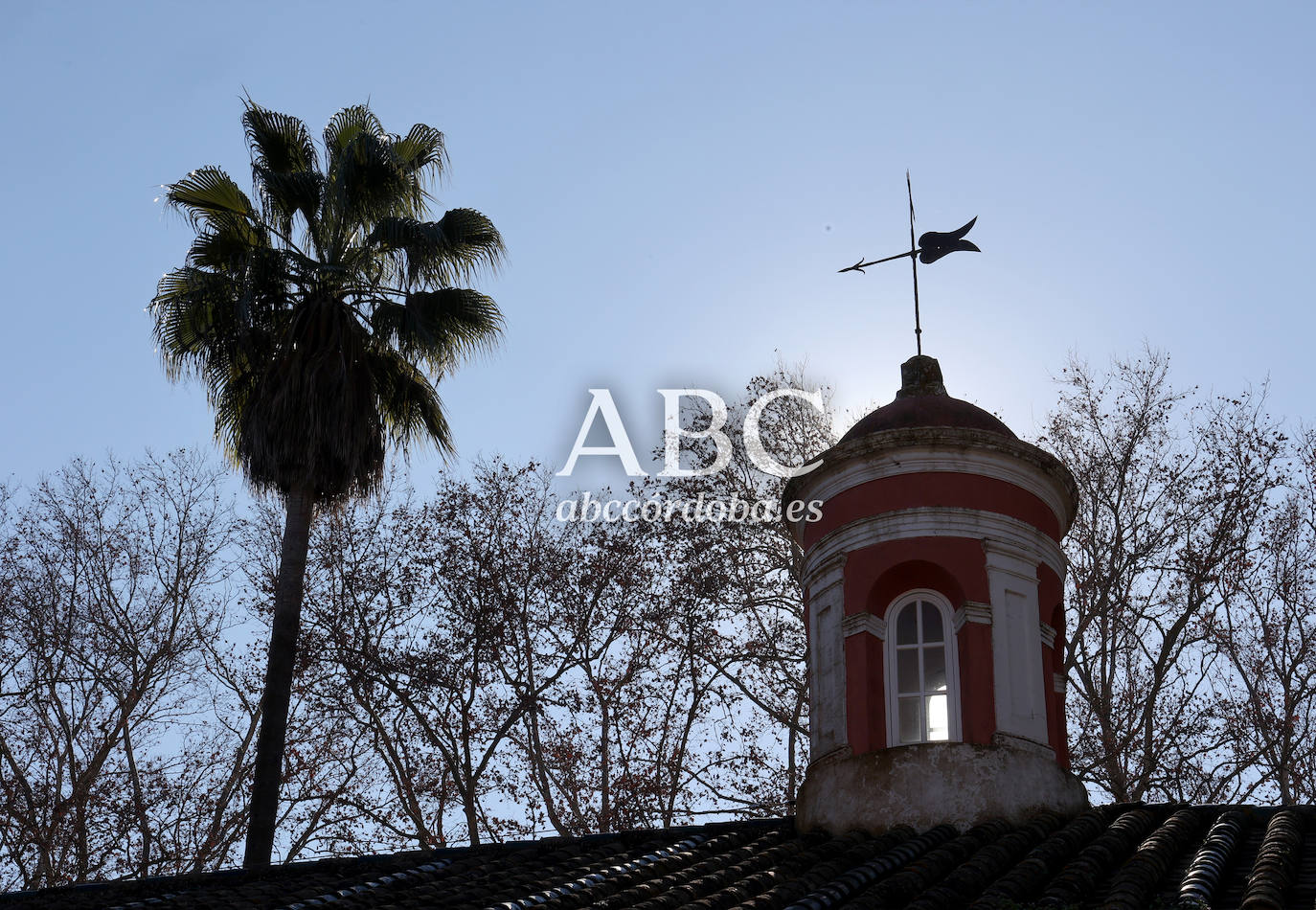 Palacio de Moratalla | Las mejores imágenes del interior