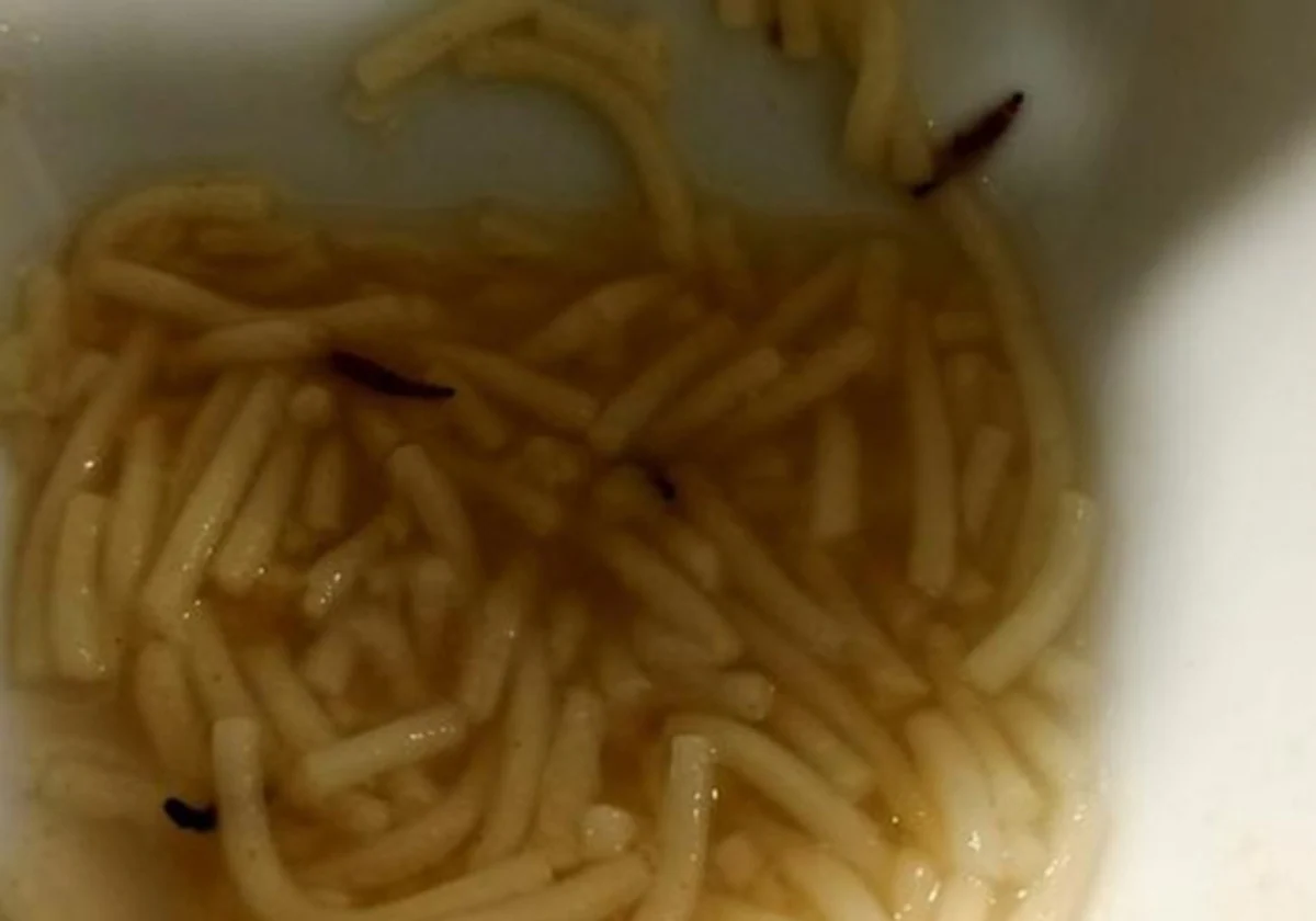 Sopa en la que aparecieron los gusanos en el Hospital de León