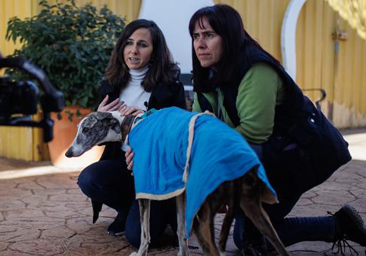 La secretaria general de Podemos y ministra de Derechos Sociales y Agenda 2030, Ione Belarra (i) y la presidenta de la Asociación Alba, Carolina Corral (d), son grabadas con un galgo durante su visita a la protectora animal ALBA, a 2 de febrero de 2023, en Camarada de Esteruelas, Madrid (España)