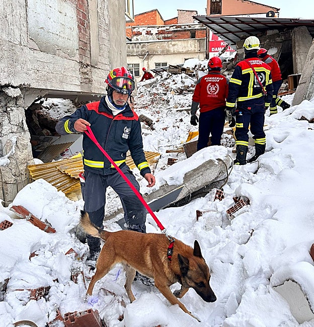 Un profesional guía a un perro entre los escombros