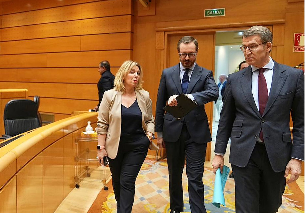 El presidente del PP, Alberto Núñez Feijóo, en el Senado