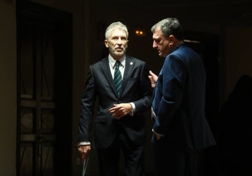 El Congreso ve incongruencias en la reforma de la 'ley mordaza'