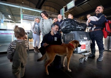 La llegada de los bomberos cordobeses que han ayudado tras el terremoto de Turquía, en imágenes