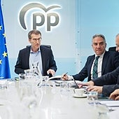 El PP entra en la batalla sanitaria frente al PSOE: «La sanidad es una falsa bandera socialista»