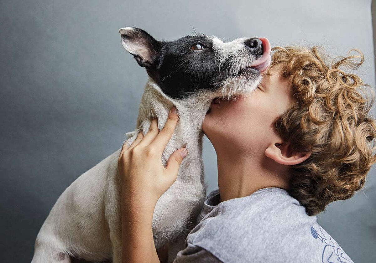 Ley de Bienestar Animal: ¿Cuál es el curso que debes hacer si quieres tener  perro