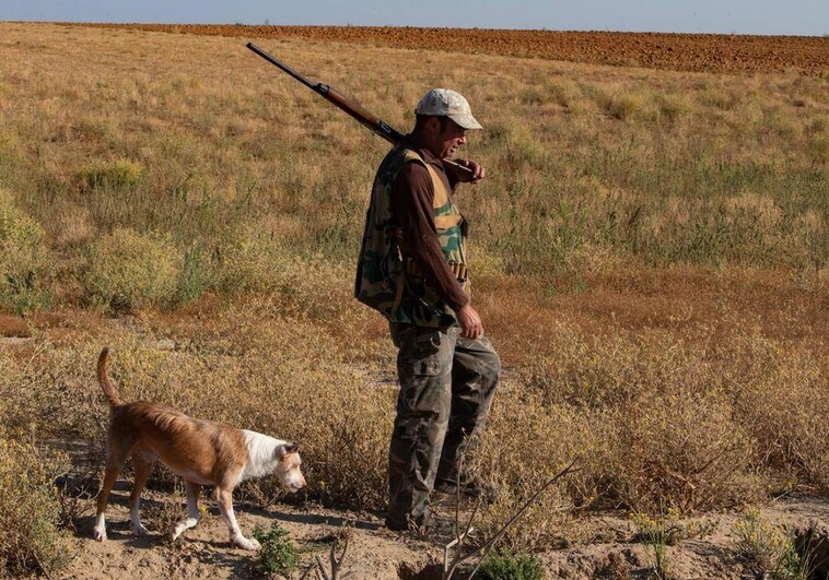Podemos culpa a Page de que los perros de caza se vuelvan a quedar «colgados» y ve su protección «imparable»
