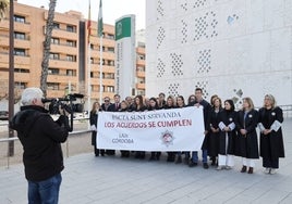 La huelga de los LAJ deja ya más de 2.000 juicios, declaraciones, pagos de pensiones alimentarias y concursos suspendidos