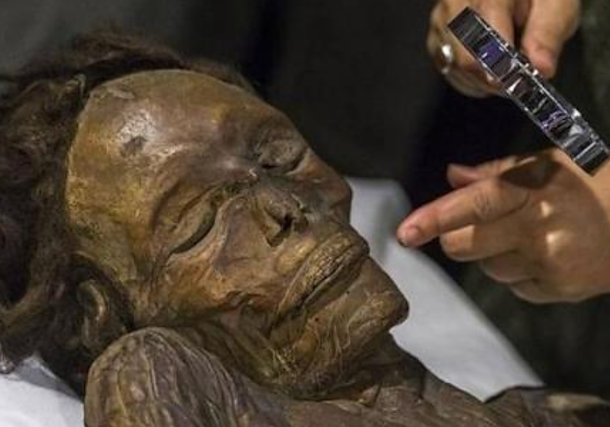 Análisis de una de las momias guanches mejor conservada, actualmente en Madrid