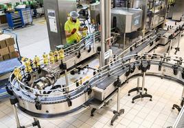 La nueva idea de Deoleo | Botellas de aceite con un código QR para conocer el proceso de fabricación