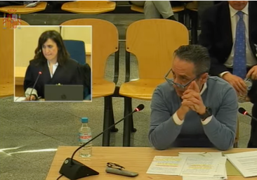 El 'cerebro' de la Gürtel, en el juicio: «Nos implantamos en Valencia por la buena relación con Camps»