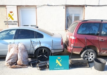 Golpe al robo de aceitunas en Toledo y Ciudad Real: detenidos 8 miembros de dos familias que podrían haber vuelto a las andadas