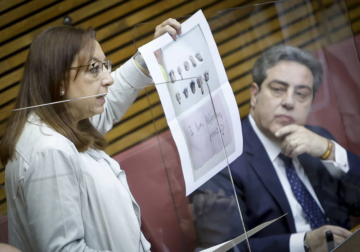 El tamaño de los penes en libros infantiles, a debate en las Cortes  Valencianas: «Vox cree que hay una, grande y libre»