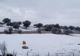 (Vídeo) La nieve vuelve a la provincia de Córdoba y tiñe de blanco Los Pedroches y la Sierra de Cabra
