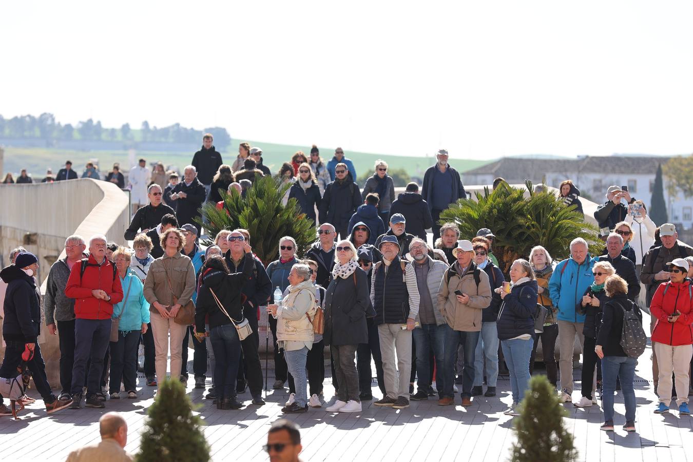 El animado ambiente turístico en Córdoba por el 28-F, en imágenes