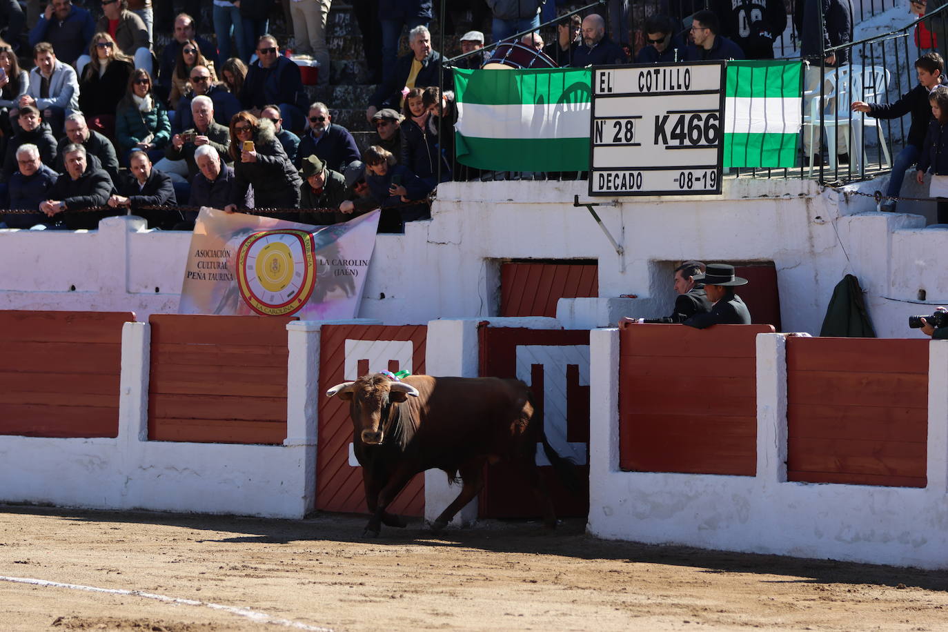 El triunfo de Manuel Román en su debú con picadores, en imágenes