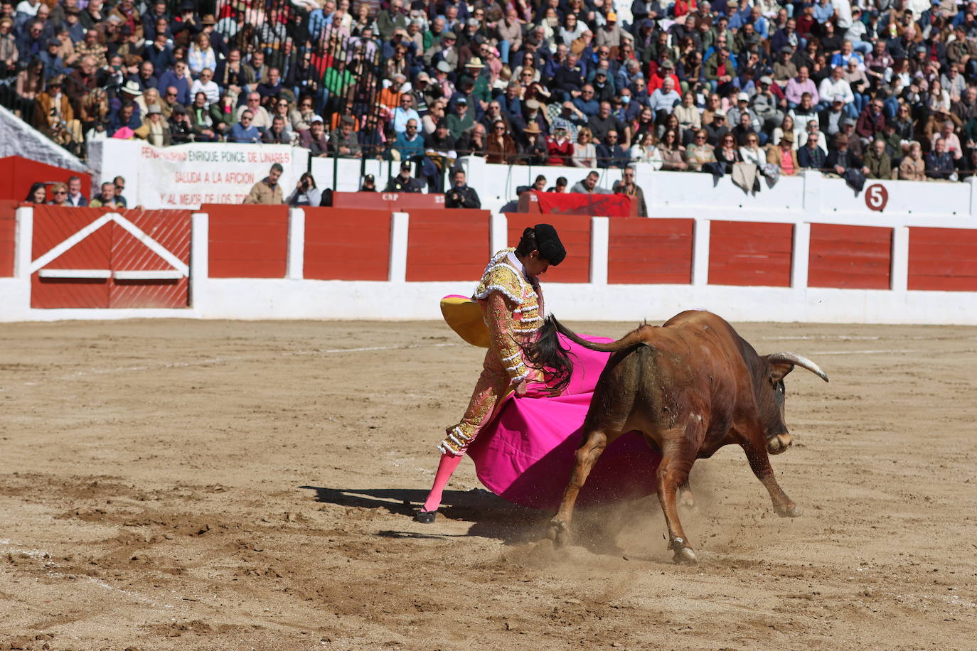 El triunfo de Manuel Román en su debú con picadores, en imágenes