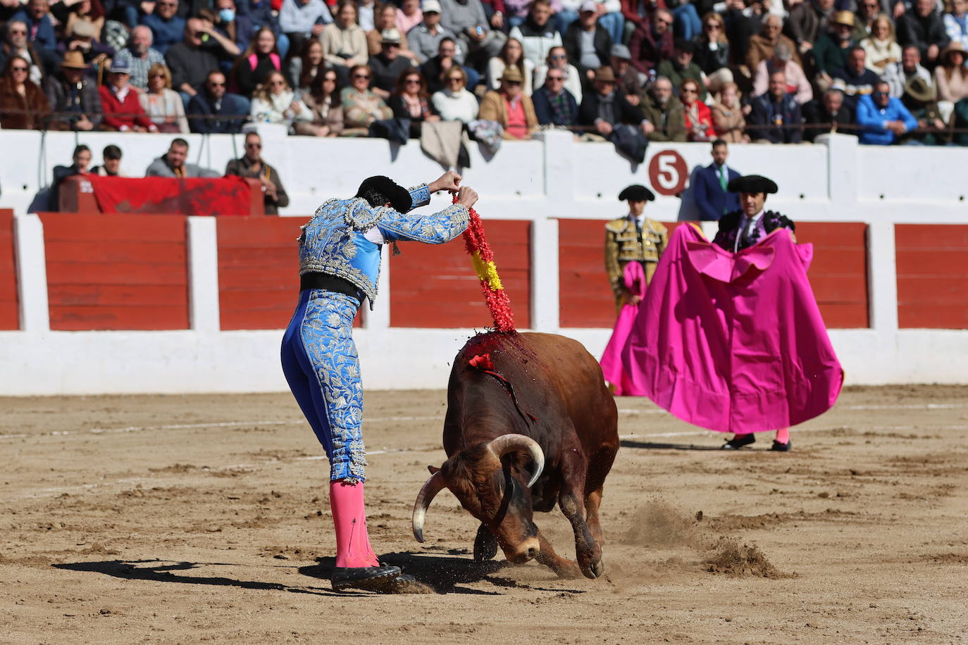 El triunfo de Manuel Román en su debú con picadores, en imágenes