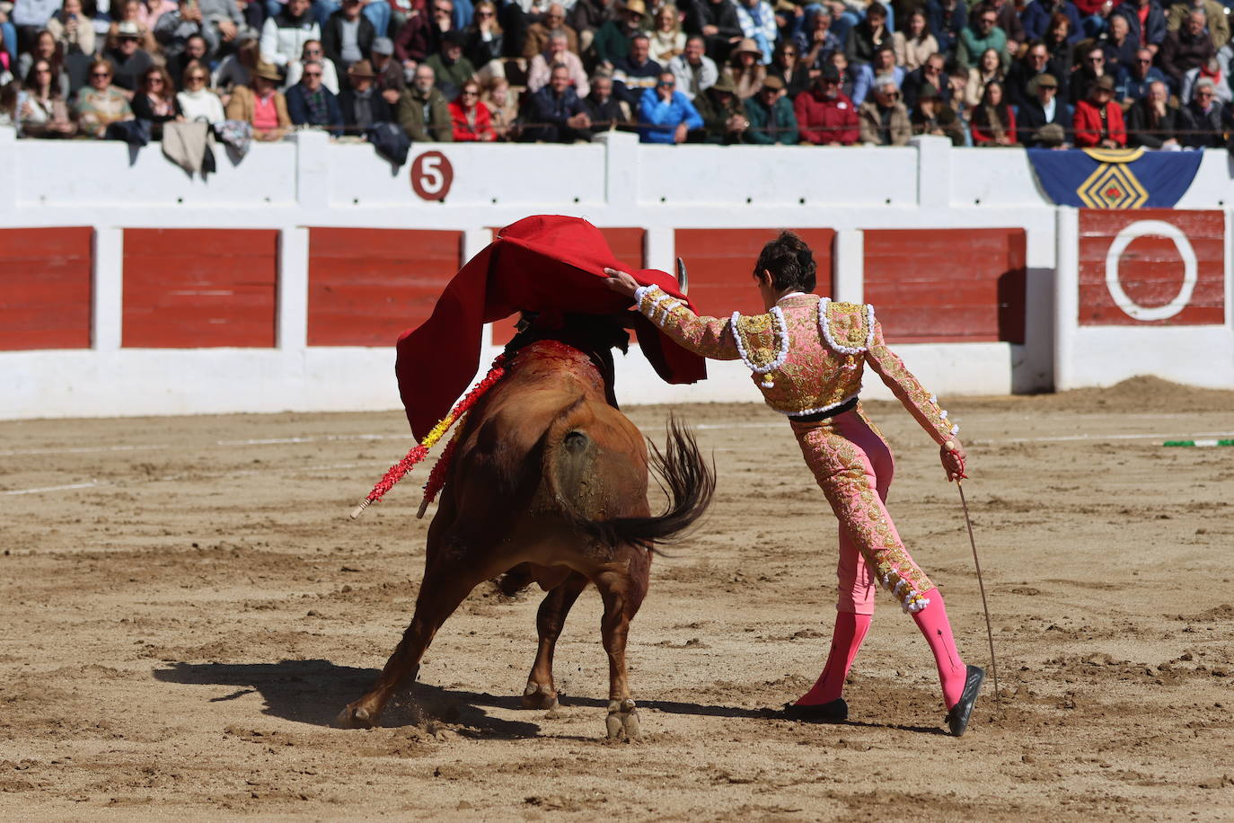 El triunfo de Manuel Román en su debú con picadores, en imágenes