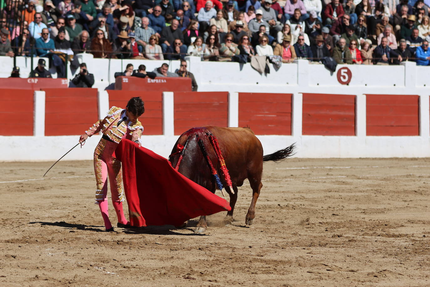 El triunfo de Manuel Román en su debú con picadores, en imágenes