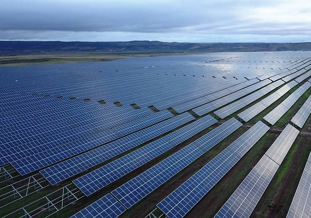 Planta fotovoltaica de Naturgy en la localidad toledana de Carpio de Tajo