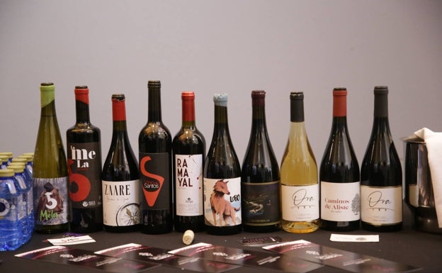 Los vinos de la Sierra de la Culebra se presentan en sociedad con vocación de convertirse en D.O.