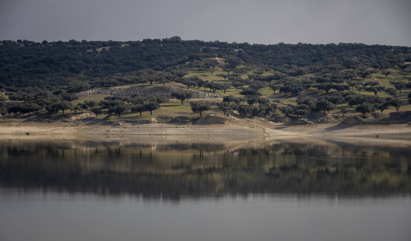 El Monte de El Pardo, un vergel en plena capital de España