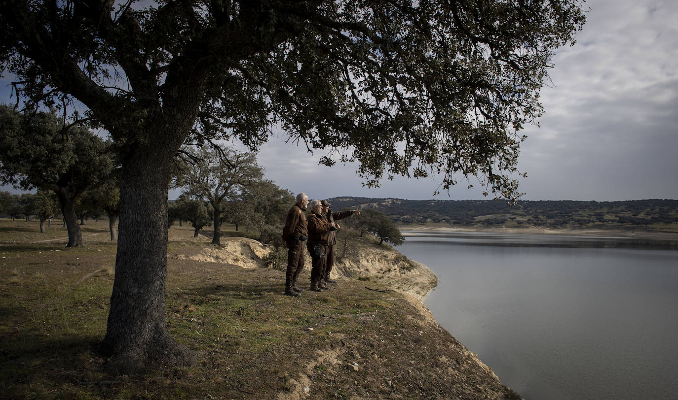 El Monte de El Pardo, un vergel en plena capital de España