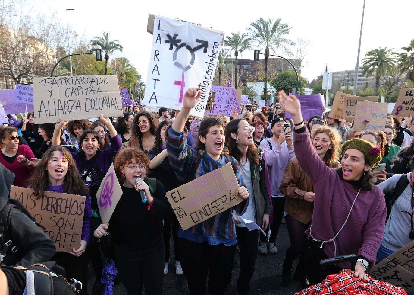 La reivindicativa manifestación del 8-M en Córdoba, en imágenes