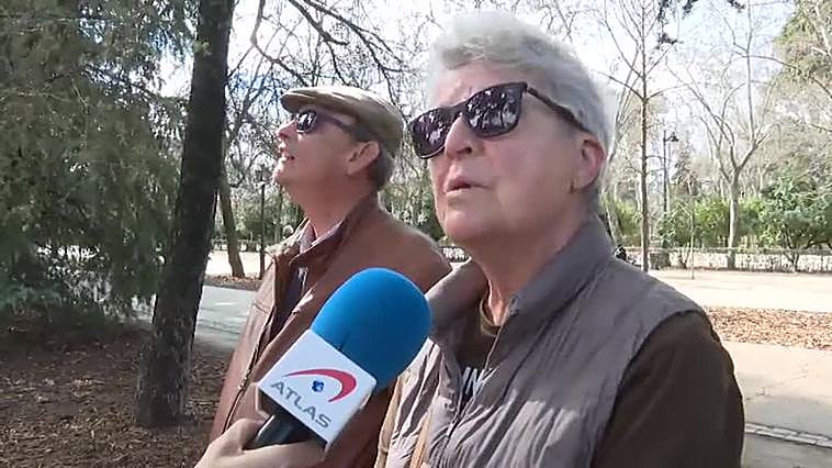 Ejemplares de búho real en El Retiro y el Jardín Botánico