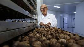 La Abuela Carmen vende desde Córdoba un complemento alimenticio de ajo negro