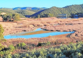 Los agricultores dicen 'basta' por el bloqueo de las mejoras en el Cordobilla