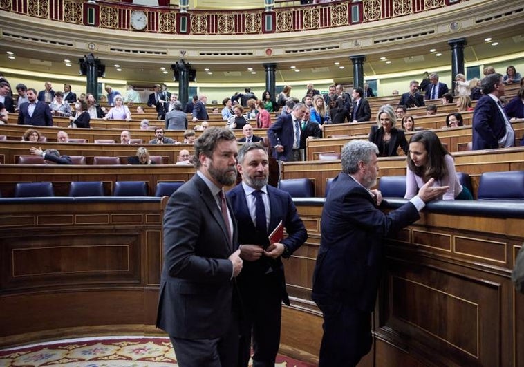 Vox denuncia que el Gobierno bloquea «por la puerta de atrás» la ley de ELA de Ciudadanos