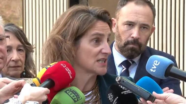 Ribera: "Hay que introducir un límite de renta" para cobrar el bono de familias numerosas